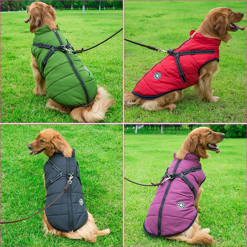 Coat for Your Dog